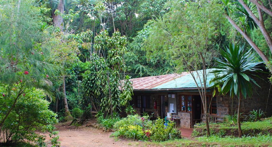 Receptie Irente Farm Lodge